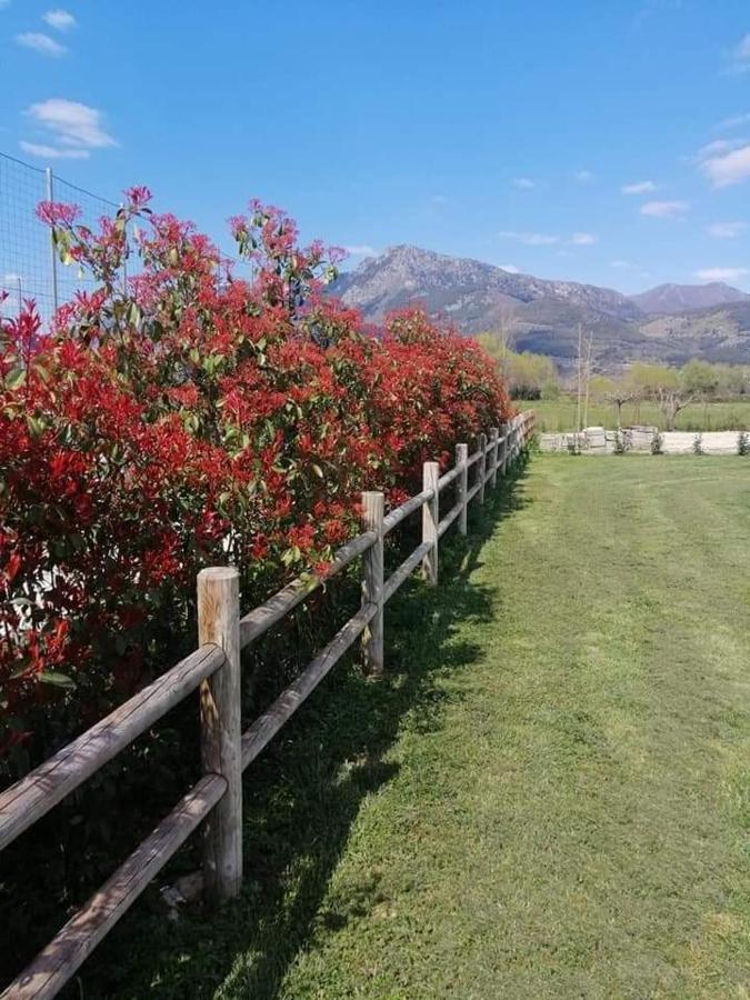 Hotel L'Airone Country House SantʼElia Fiumerapido Exterior foto